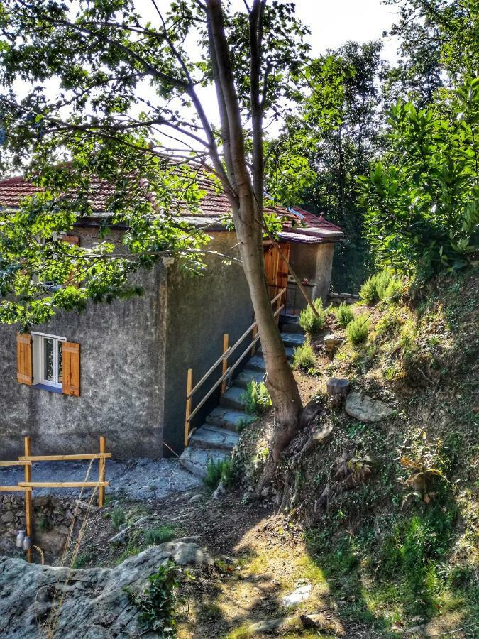 Berzuaia Bed&Breakfast Varazze Zewnętrze zdjęcie