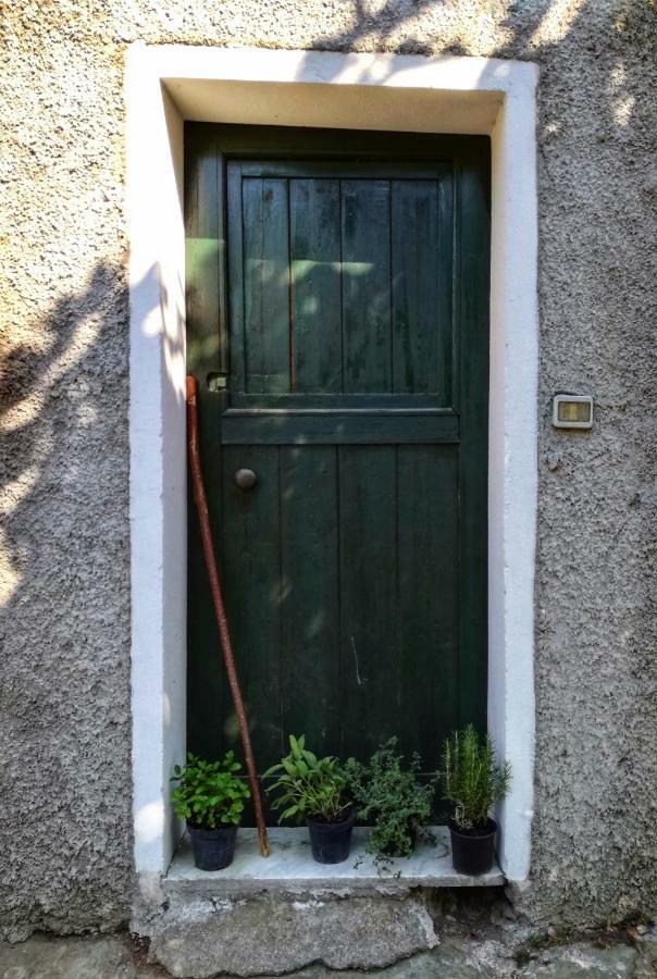 Berzuaia Bed&Breakfast Varazze Zewnętrze zdjęcie