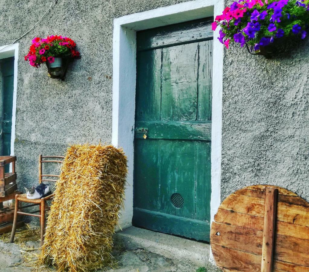 Berzuaia Bed&Breakfast Varazze Zewnętrze zdjęcie