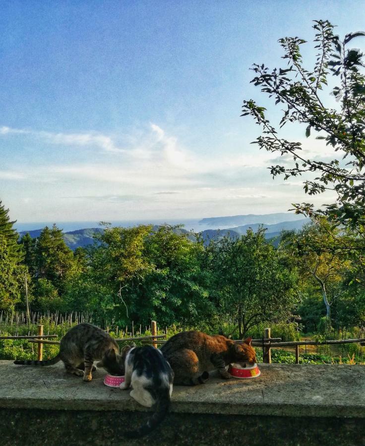 Berzuaia Bed&Breakfast Varazze Zewnętrze zdjęcie